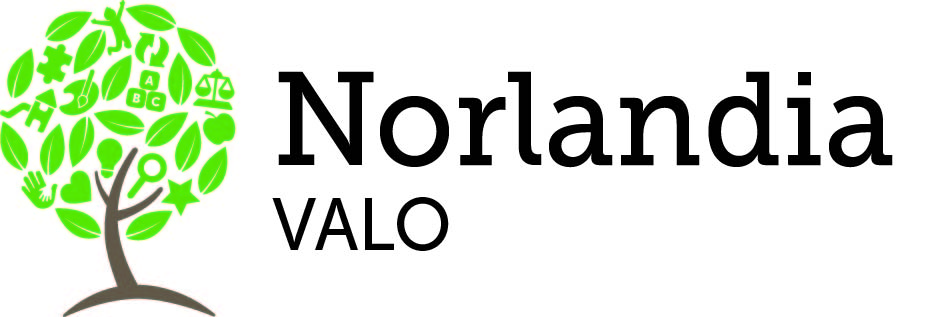 Logo Horizontal 4Color VALO