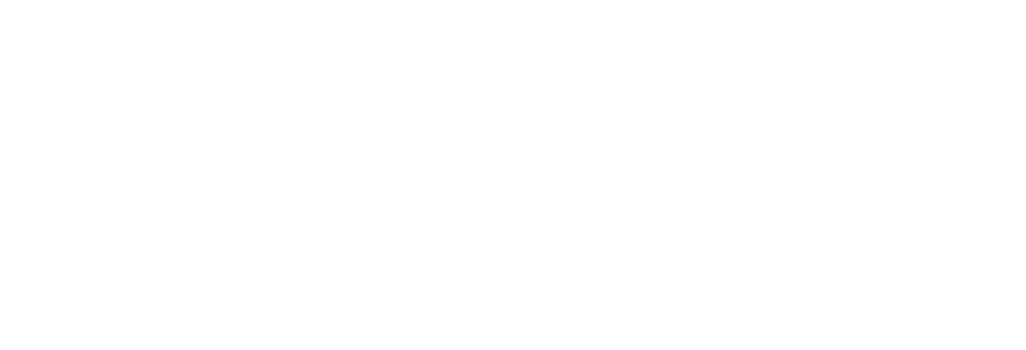 Logo Horizontal White AURINKOINEN (1)