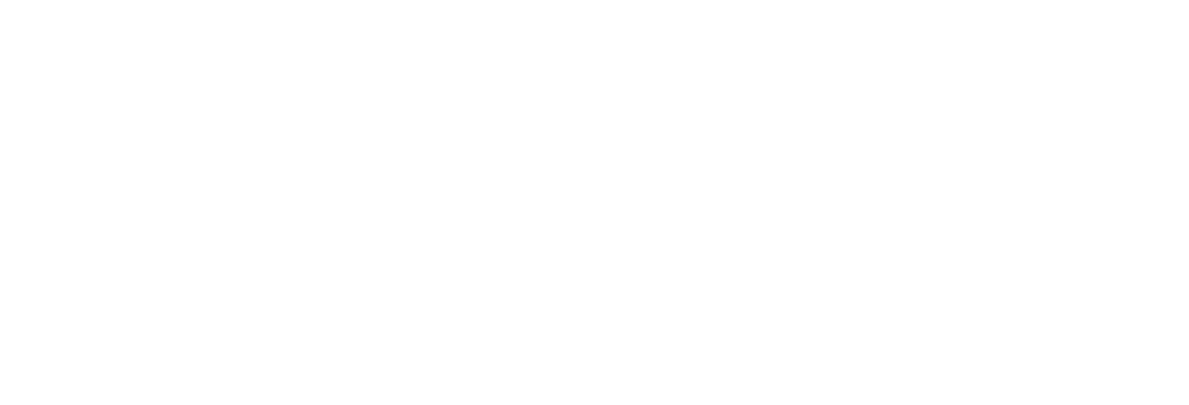 Norlandia Päiväkodit Logo Horizontal White (1)