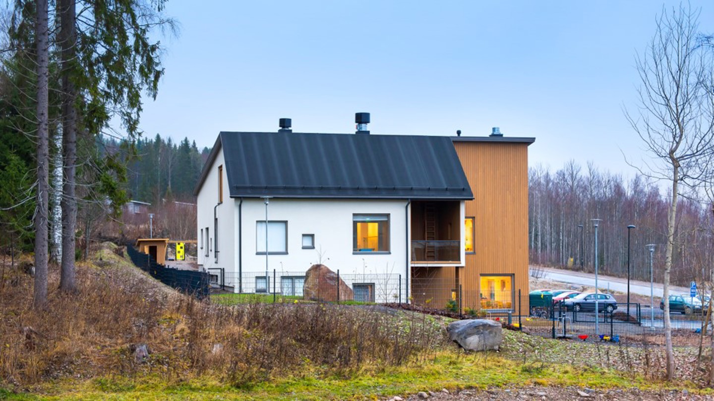 Niittytähti5